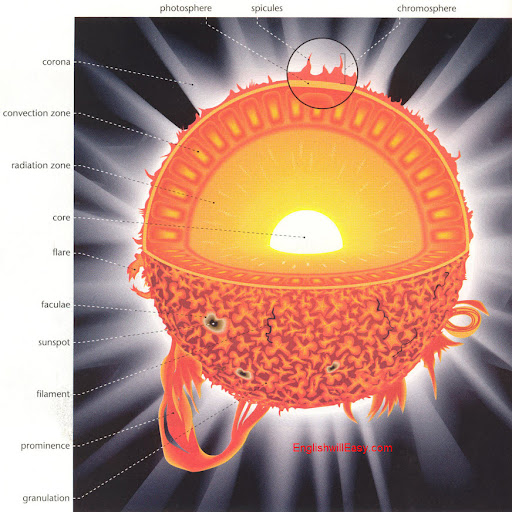 Structure Of The Sun Diagram