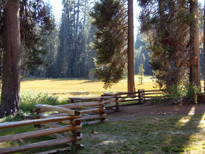 CALIFORNIA 2013 - Blogs de USA - 10 AGOSTO: DE GROVELAND A YOSEMITE (23)