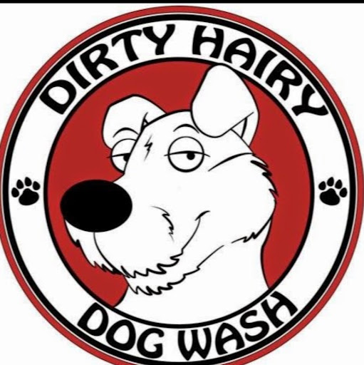 Dirty Hairy Dog Wash