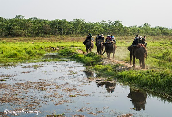 Elephant ride at the Royal Chitwan National Park