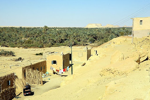 Hello in the Egyptian oasis of Siwa  IMG_7165
