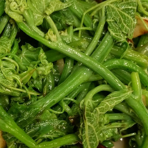 Thailand close up - sauteed pumpkin vines