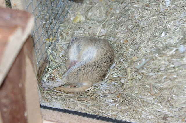 IMGP7292.JPG