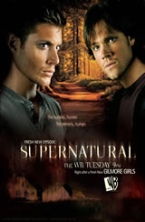Supernatural 7x13 Sub Español Online