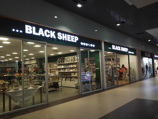 photo of Black Sheep