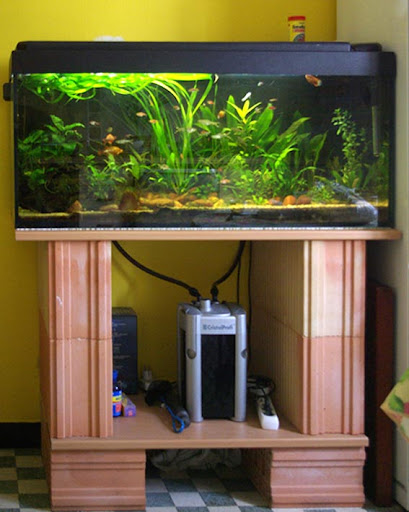 Besoin d'aide. Où poser mon aquarium de 140 litres SVP ? Bac%2525201