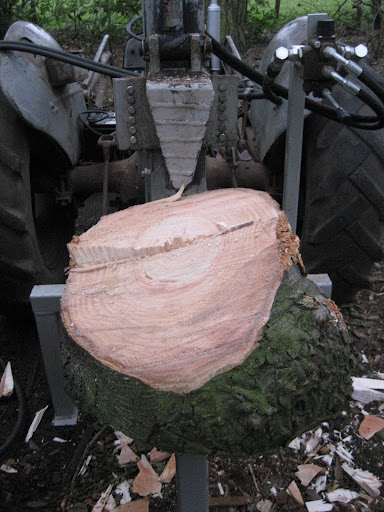 logs%252520001.JPG