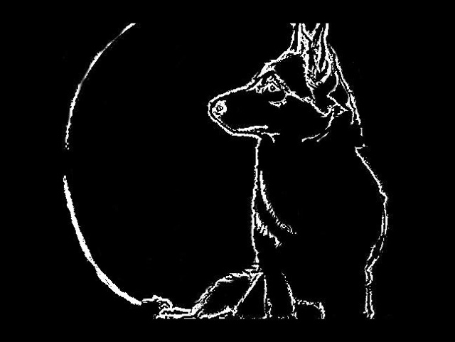 Husky Life: Husky pumpkin templates/stencils