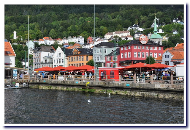Viaje a la Noruega de los fiordos y Copenhague. - Blogs de Noruega - Viaje a la Noruega de los fiordos (13)