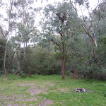 Bradneys Gap Camping area