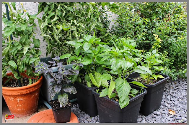 20140713_%252801%2529.jpg