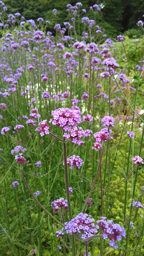Pythouse Walled Garden