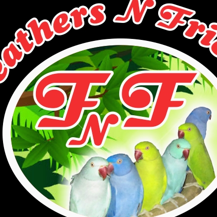 Feathers N Friends logo