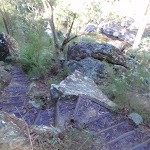 Steps on Glenbrook Gorge Track (148095)