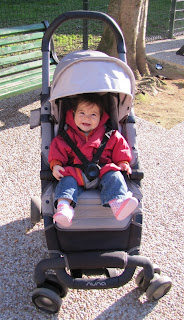 Jai testé pour toi... La poussette Pepp de Nuna