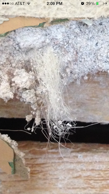 Help Asbestos Or Horse Hair In Walls Hepa Filter