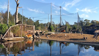 Photos of Amersfoort Zoo