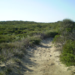 Cape Bailey Track (18852)