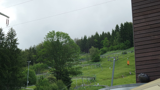 Alpsee Bergwelt