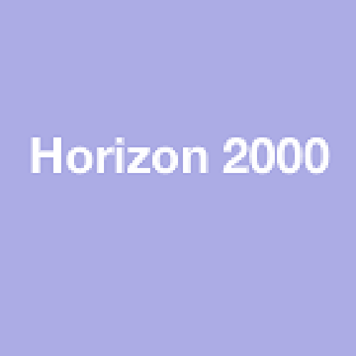 Horizon 2000 logo