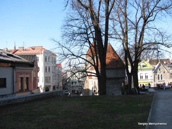 Четыре часа по улицам старого Таллина… (Фото)