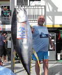 World Cup Tournament Marlin Tournament July 4, 2011.   186 pound Yellow Fin Tuna caught by John Page.  Sadly, in this tournament only blue Marlin over 500 pounds qualify.  This fish is a trophy anyway!
