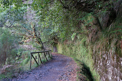 Levada de las 25 Fontes/Levada del Risco - Madeira, Ruta-Portugal (1)