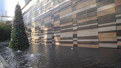 Photos of Shenzhen Bay Kapok Hotel