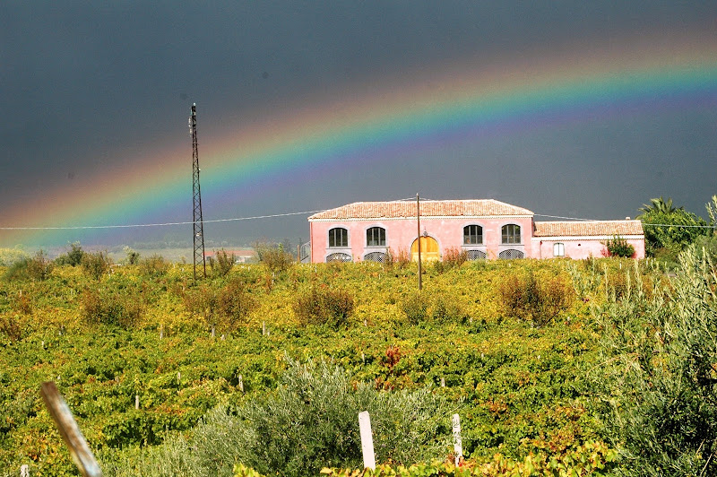Image principale de Tenuta delle Terre Nere azienda vinicola (Etna)