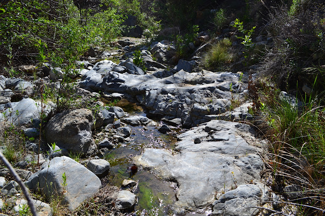 a bit of water flowing over granite