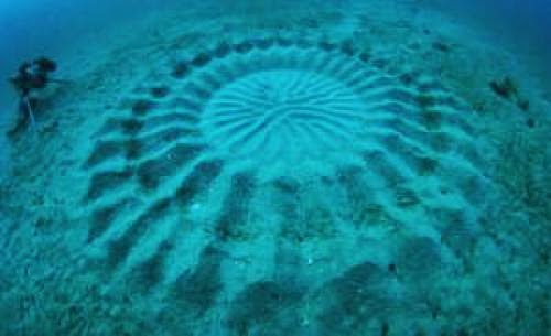 Another Crop Circle Found Under Japanese Sea
