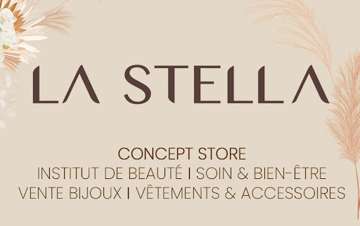 Institut La Stella logo