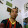 Lator Pereira Lator Pereira's profile photo