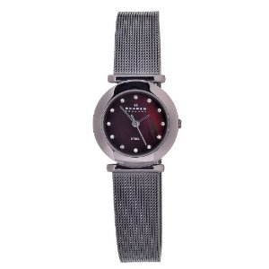 Skagen Women's 107SDDD Quartz Stainless Steel Brown Mother Of Pearl Dial Watch