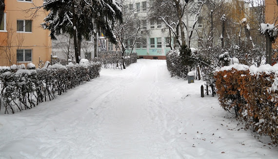 Suceava, acoperită de zăpadă - 4 februarie 2012