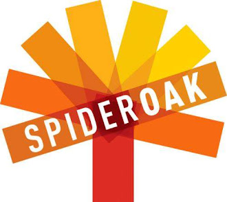 SpiderOak 5.0 estrena colmena