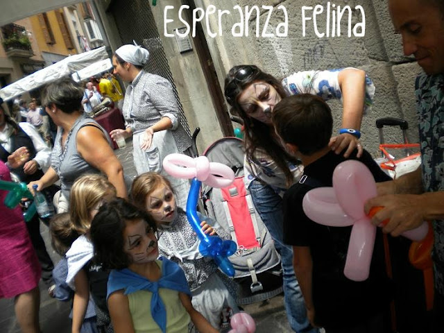 Esperanza Felina en "El Mercado de La Almendra" en Vitoria - Página 9 DSCN5403