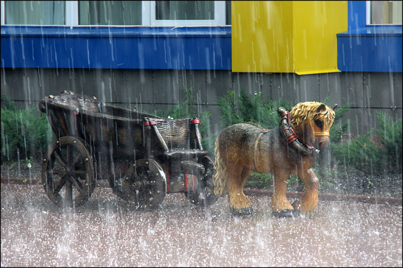 voronezh172.jpg