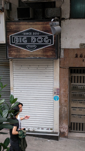 Big Dog