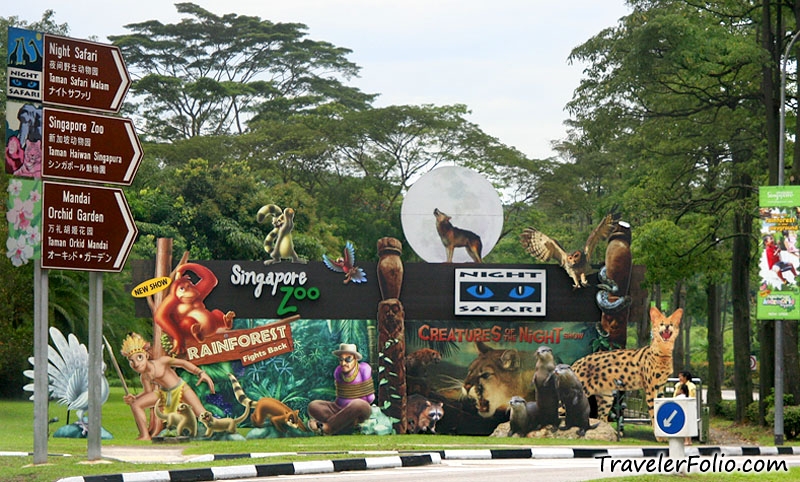 Singapore Zoo Most Favourite Singapore Tourism - India Tourism