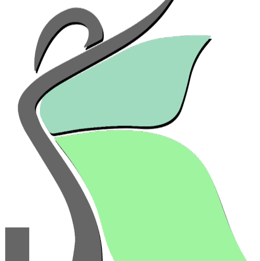 Professional Salon Training logo