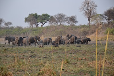 Photos of Ndhovu Safari Lodge