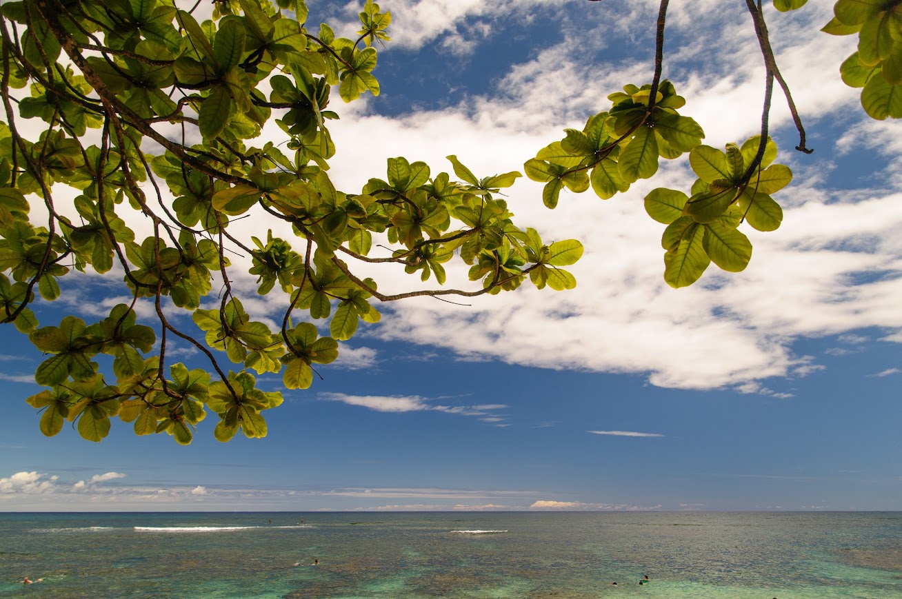 Kauai: Poipu - Hawaii: 3 islas en dos semanas (5)