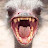 Leigh Tingle avatar image