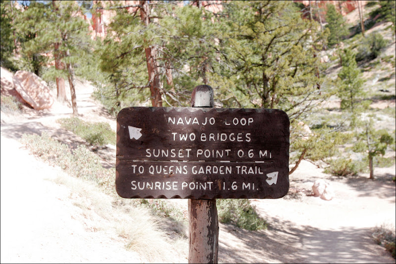 Navajo-Queens Garden Trail