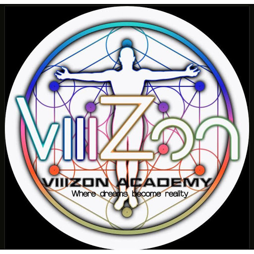 VIIIZON Academy logo