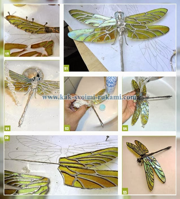 Прозрачные крылья стрекозы