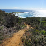 Top of Timber Beach track (247120)
