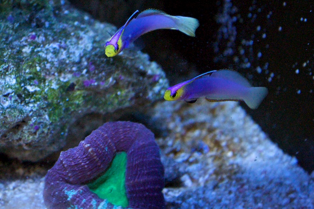 IMG_2635.jpg