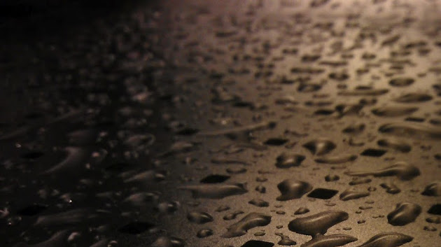 Cover photo
